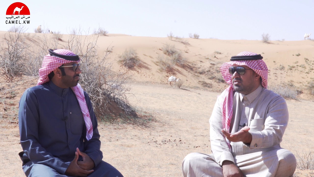 زيارة رجل الاعمال: عبدالله بن دلمخ السبيعي