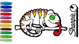 How to draw a chameleon easy for your baby. Coloring with markers.