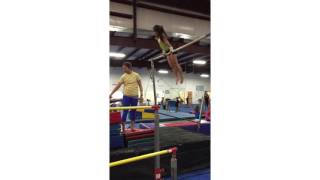 Working Bail Progressions with Gracie