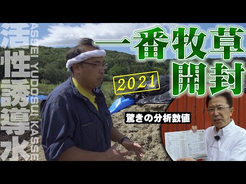 【驚きの分析数値】暑い夏でも食べるサイレージに！活性誘導水を散布した一番牧草を開封！【第209回】