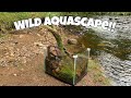 Wild aquarium aquascaping with nature to create a wild native aquascape