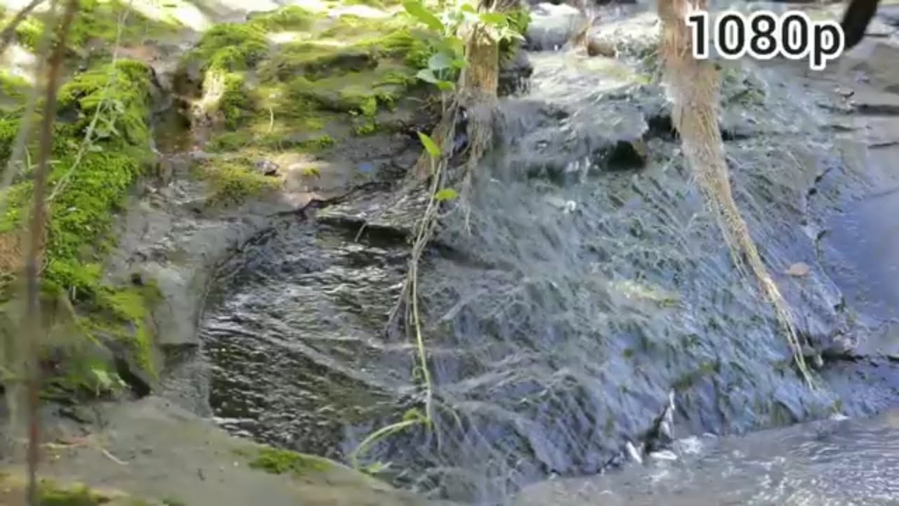 Refreshing river sound - THE AMAZING HIC