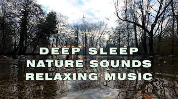 Deep Sleep Nature Sounds Singing Sounds Birds Relaxing Music