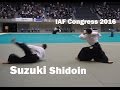 Suzuki toshio shidoin at the 12th international aikido federation congress demonstration