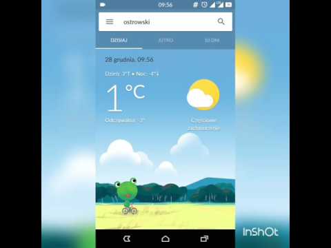 Pogoda Google