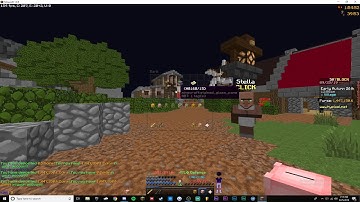 Hypixel skyblock piggy bank bug report