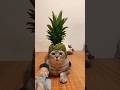 Kucing kepala nanas 