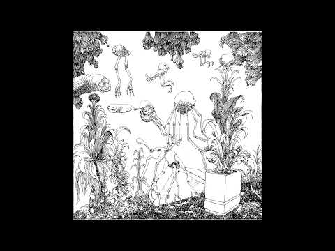 Poly Chain - Visa [DT008]
