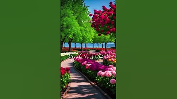 سوره البقره#القرآن_الكريم #اكسبلور #automobile #تيك_توك #لايك #ترند #العراق