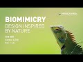 Biomimicry: Design Inspired by Nature