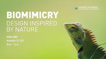 Biomimicry: Design Inspired by Nature