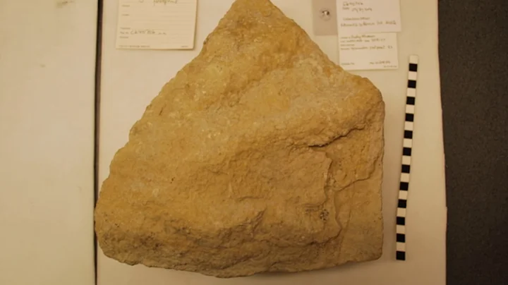 Iguanodon Footprint, Geology - Deborah Hutchinson