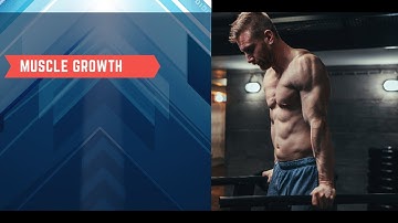 The Best & Worst TRICEPS Exercises (Ranked Using Science)