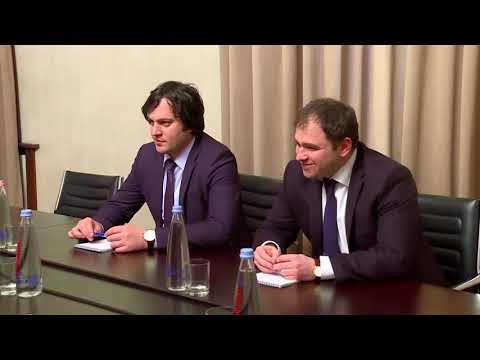 ირაკლი კობახიძის შეხვედრა იანოშ   ჰერმანთან