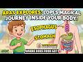 Where Does the Food We Eat Go? Aras Explores the Human Body with Lopi!