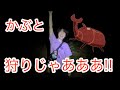 カブトムシがたくさんいると噂の神スポットに採集しに行った結果…