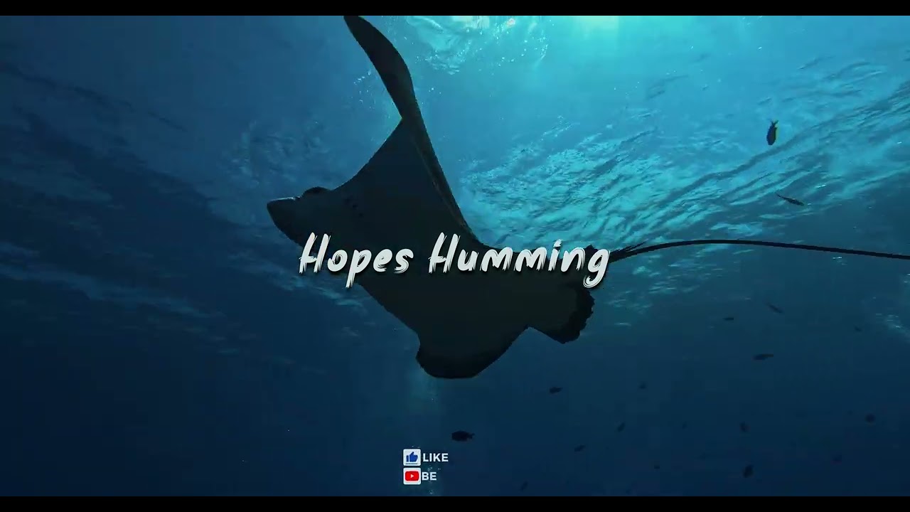 Nasheed - Hopes Humming