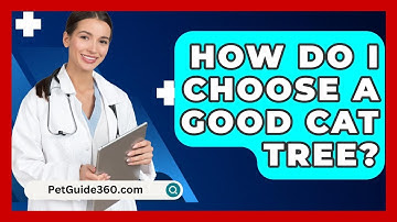 How Do I Choose A Good Cat Tree? - PetGuide360.com