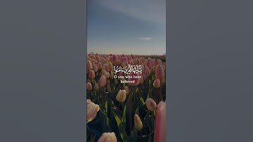 يا أيها الذين آمنوا اركعوا واسجدوا واعبدوا ربكم || بصوت القارئ عبدالرحمن مسعد || #holy_quran512