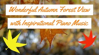 Wonderful Autumn Forest View with Inspirational Piano Music