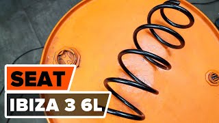 Jak vyměnit Kapalina do chladiče на SKODA FABIA Praktik - online zdarma video