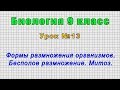 Биология 9 класс (Урок№13 - Формы размножения организмов. Бесполое размножение. Митоз.)