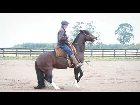 LOTE 03 - SJ MANO A MANO (montado)