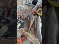 Seafood Market Different Fishes #fish #seafoodlovers #shorts