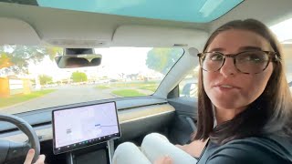 100% Graysie After Hours - Ride Along Olive Garden