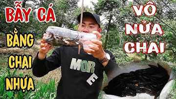 Làm Lợp Đặt Cá Bóng Dừa Bằng Chai Nhựa || Trở Về Tuổi Thơ Bắt Cá Bóng Dừa Bằng Chai