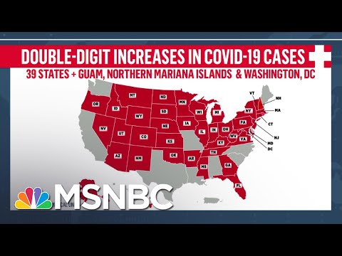 Fact-Checking Trump's Claim That U.S. Is 'Rounding The Corner' On COVID-19 | Andrea Mitchell | MSNBC