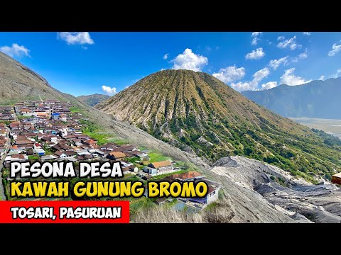 PESONA DESA KAWAH GUNUNG BROMO !! SUASANA DESA SUKU TENGGER BROMO - Cerita Desa Bromo, Jawa Timur