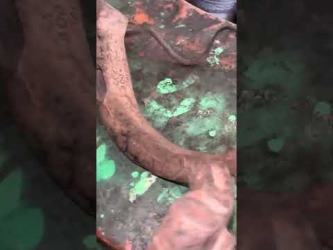 Цапфа Ауди а6
