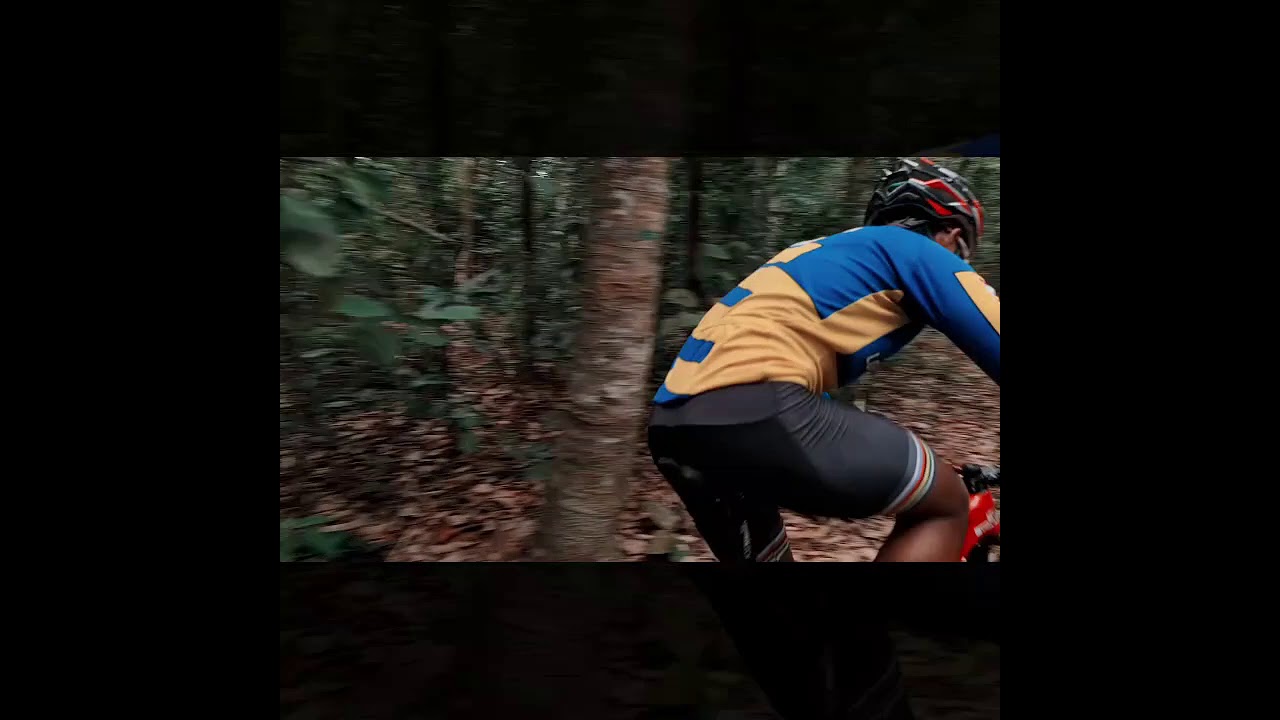 specialized epic and scott spark rc900 perform review MTB