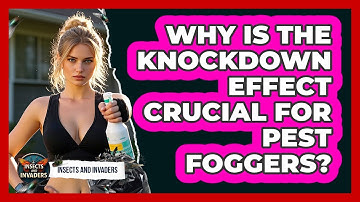 Why Is The Knockdown Effect Crucial For Pest Foggers? - Insects and Invaders