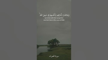 قالت الأعراب آمنا قل لم تؤمنوا ولكن قولوا أسلمنا [ الحجرات : 14 - 18 ] القارئ محمد هشام
