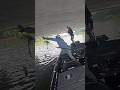 Don’t Worry We’re PROFESSIONAL! #fishingfail #viralfishing #fishing