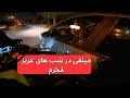 شکار میلف ها شدم شکار میلف ها شدم
