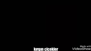 KIRGIN ÇİÇEKLER|EYLÜL \