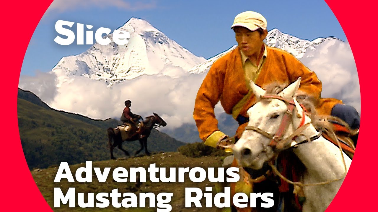Documentary backdrop image for Mustang's Horse Shows: Celebrating Jarkot's Equestrian Heritage (2024)