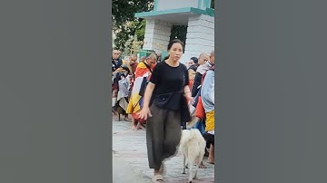 Tăng đoàn Sư Minh Tuệ khất Thực Buổi sáng,