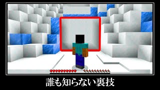 【衝撃】マインクラフトの隠されたバグ裏技＆小ネタ８選