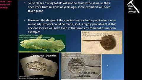 Rocks Fossils and Time (Part 1) - Part 1