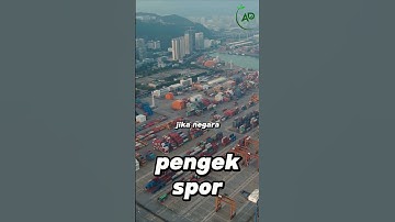 APA JADINYA JIKA SELALU IMPOR BERAS? #impor #beras #pangan #pemerintah