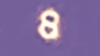 Illumine 8 Electromagnetic Plasma Lifeforms