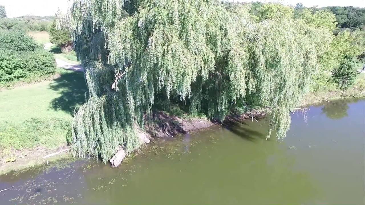 Bode Lake 4 of 5 YouTube