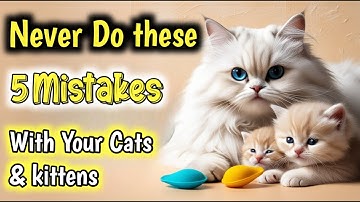 5 most common mistakes cat owners make || Persian Cat Facts || Persian Cat Care for beginners