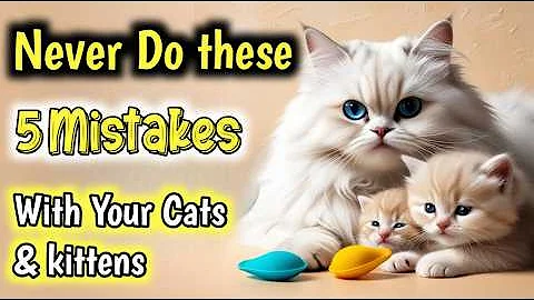 Watch the video about 5 most common mistakes cat owners make || Persian Cat Facts || Persian Cat Care for beginners