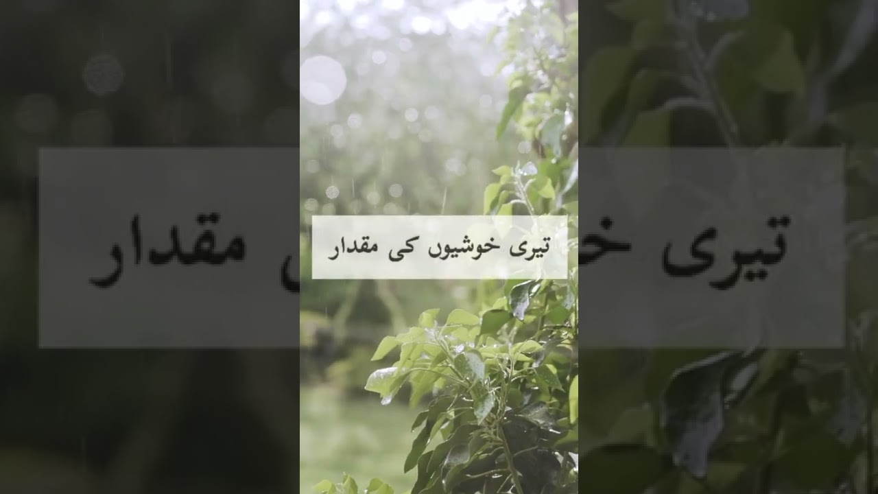 Barish Poetry | Poetry | Romantic Poetry | Love Poetry | Love Status | Sad Shayari Urdu
