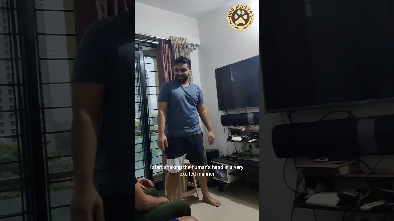 Dog Guarding one Family Member? Do you face the same issue? 